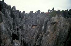 China (220 von 257).jpg